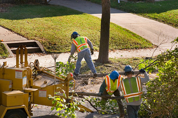 Best Tree and Shrub Care  in Brickerville, PA